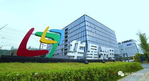 十大面板厂三季度财报盘点 京东方净利暴增7倍，蓝铂光电市场地位突变