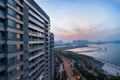 五缘湾恭迎封面钜作 旭辉TOP系铂府开启湖海新纪元