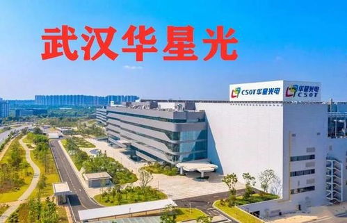 揭开真相 武汉蓝铂光电与‘十八大烂厂’传闻的背后